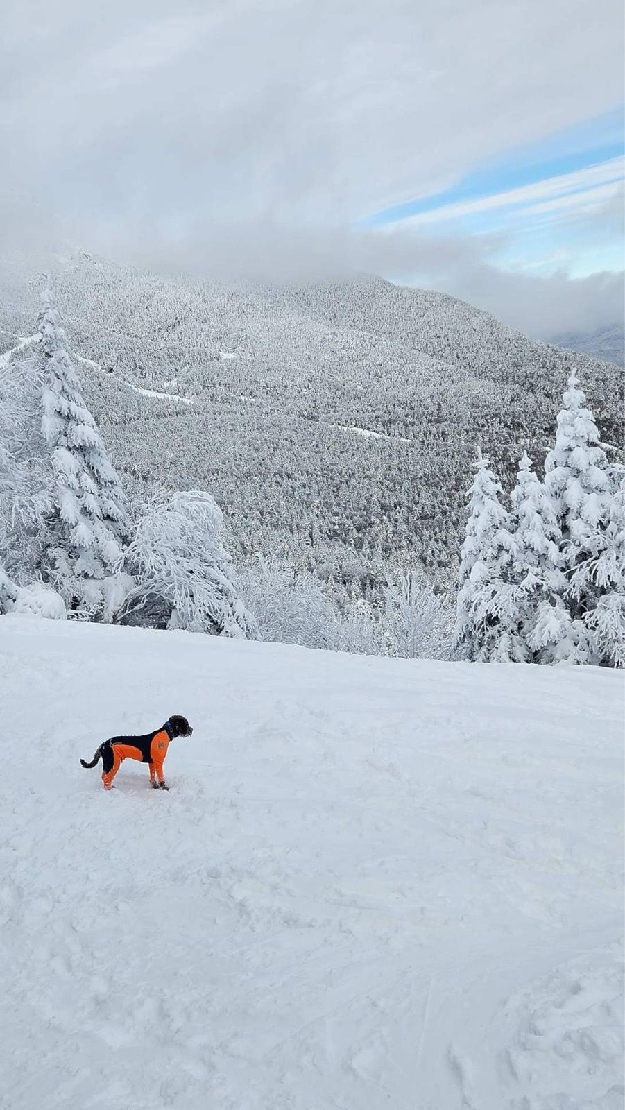 My first week of planned base training